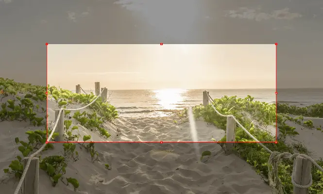 Focus overlay feature showing dimmed background with highlighted share region